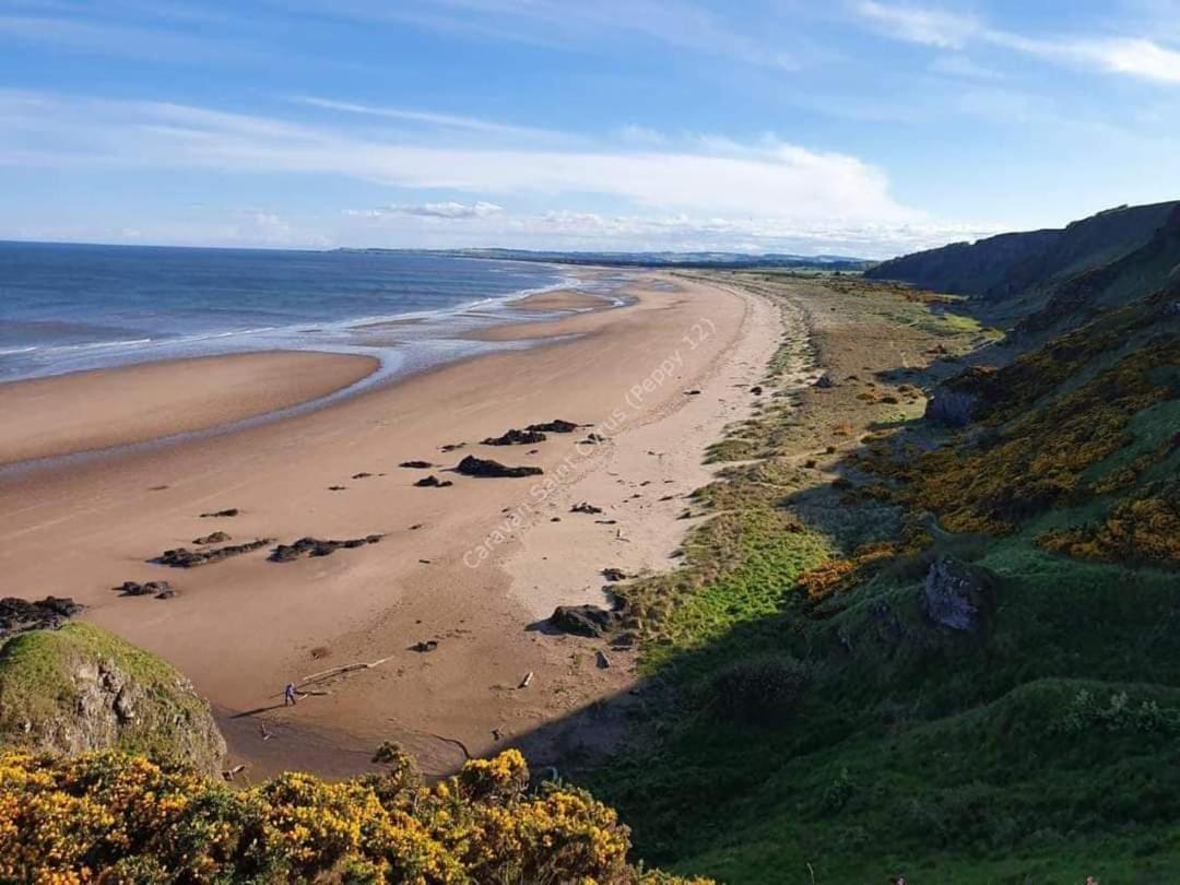 Wrights Retreat 4 Lunan View St Cyrus Caravan Park Saint Cyrus Eksteriør billede